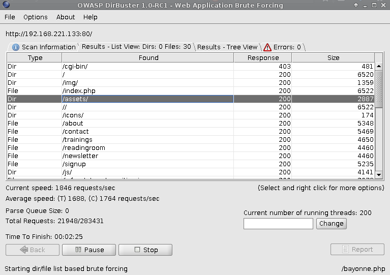 OWASP Dirbuster